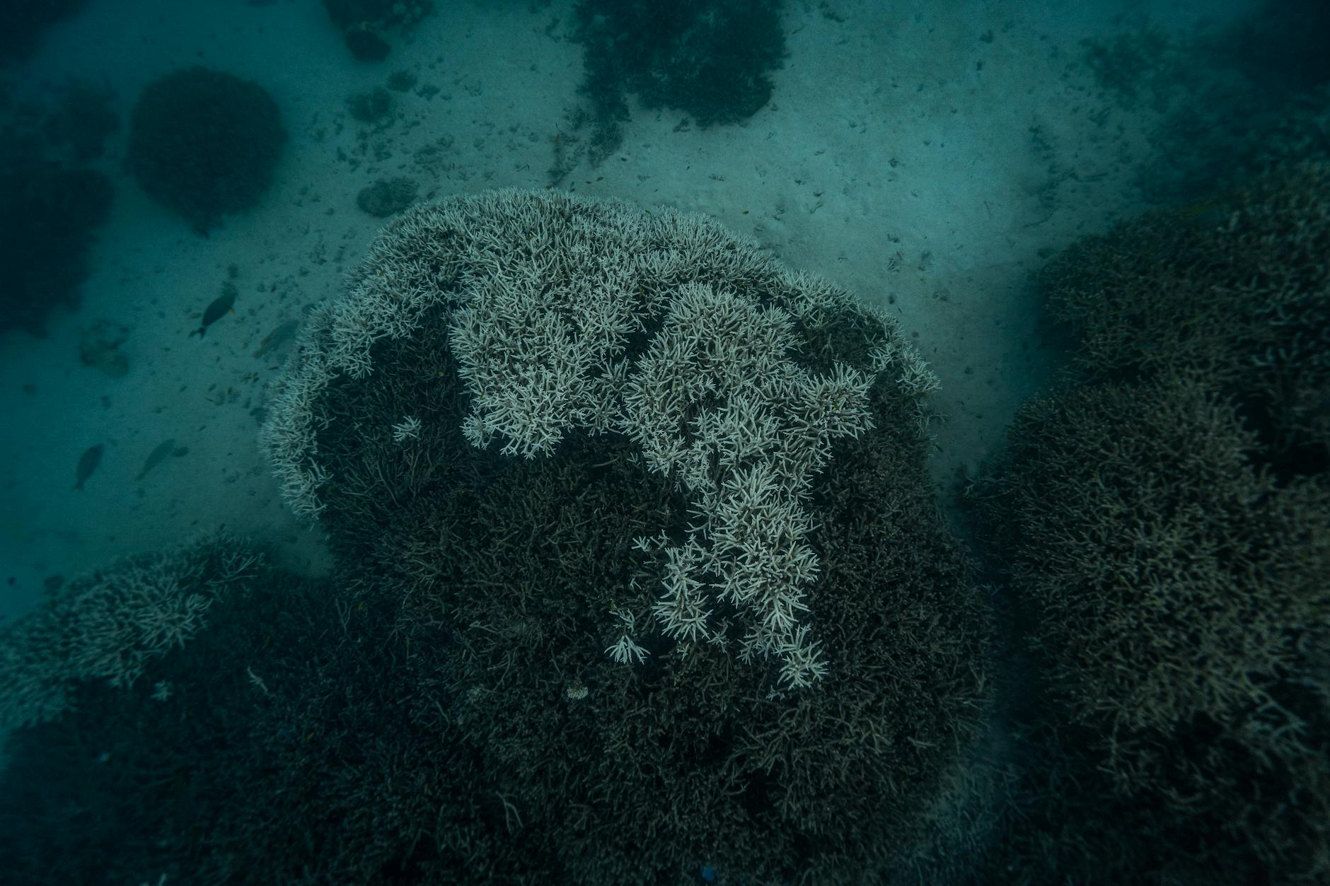 러시아 핵잠수함 하바롭스크 진수 및 핵추진 수중 드론 탑재 가능성