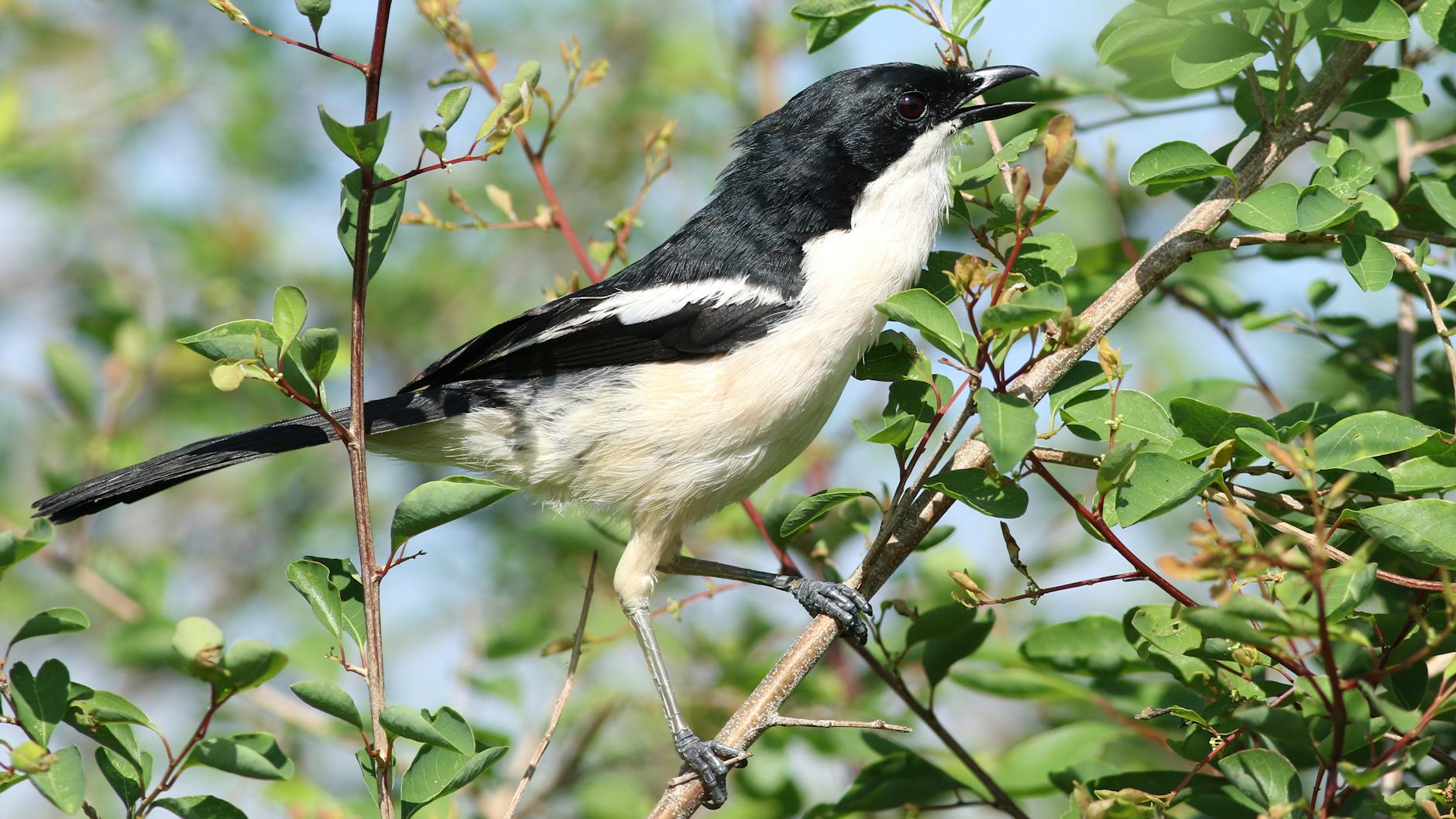 황준서 제구난조, 볼넷과 실점으로 이어진 1⅔이닝 피칭 분석