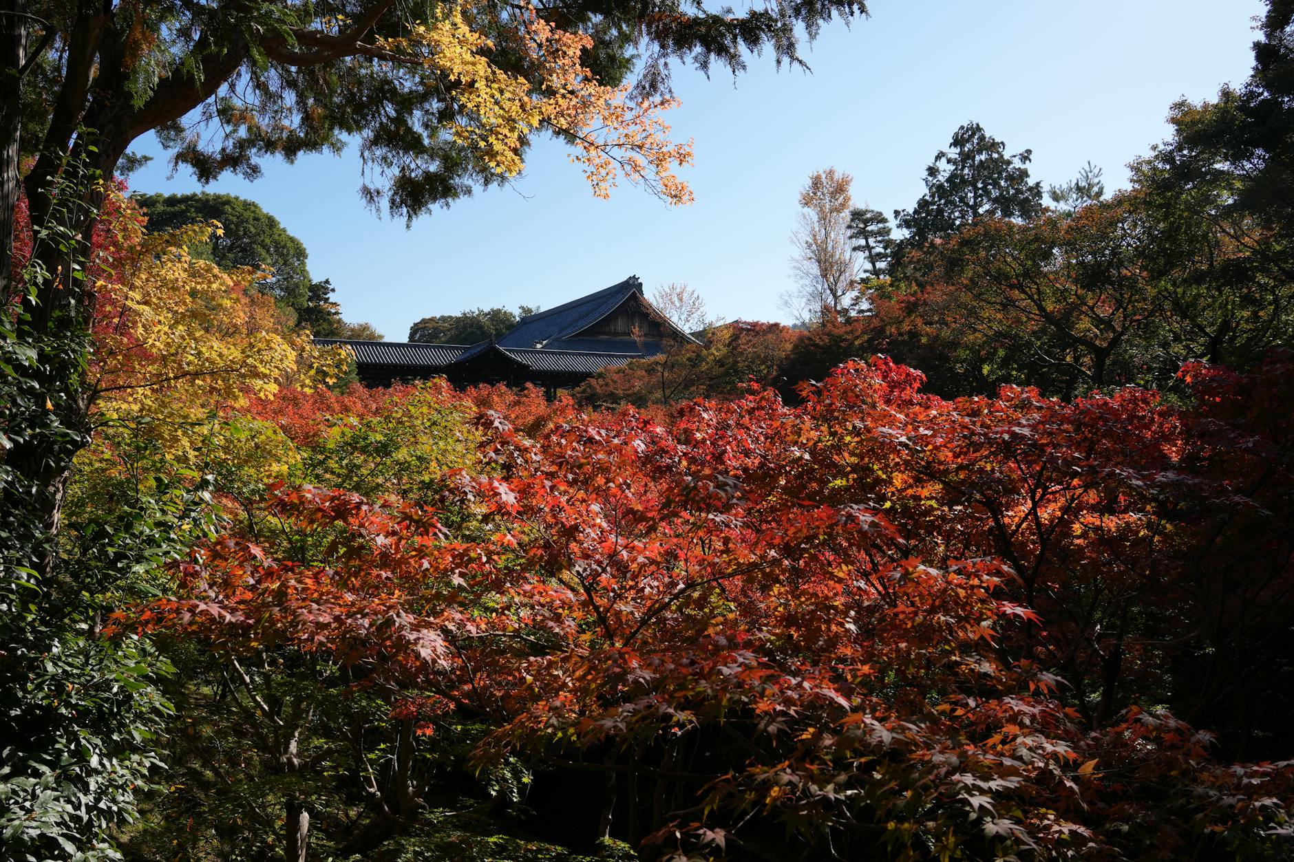 임지민 역투 사진 및 분석 - 조선일보의 스포츠 스타 featured image 1034