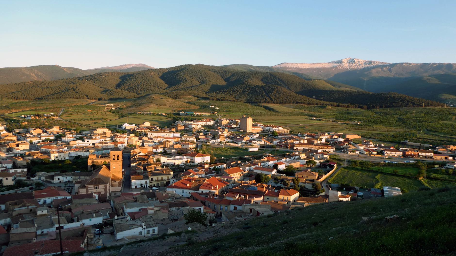 조셉 펠프스 아이코닉 와인 인시그니아, 연말 특별한 선택 featured image 1064