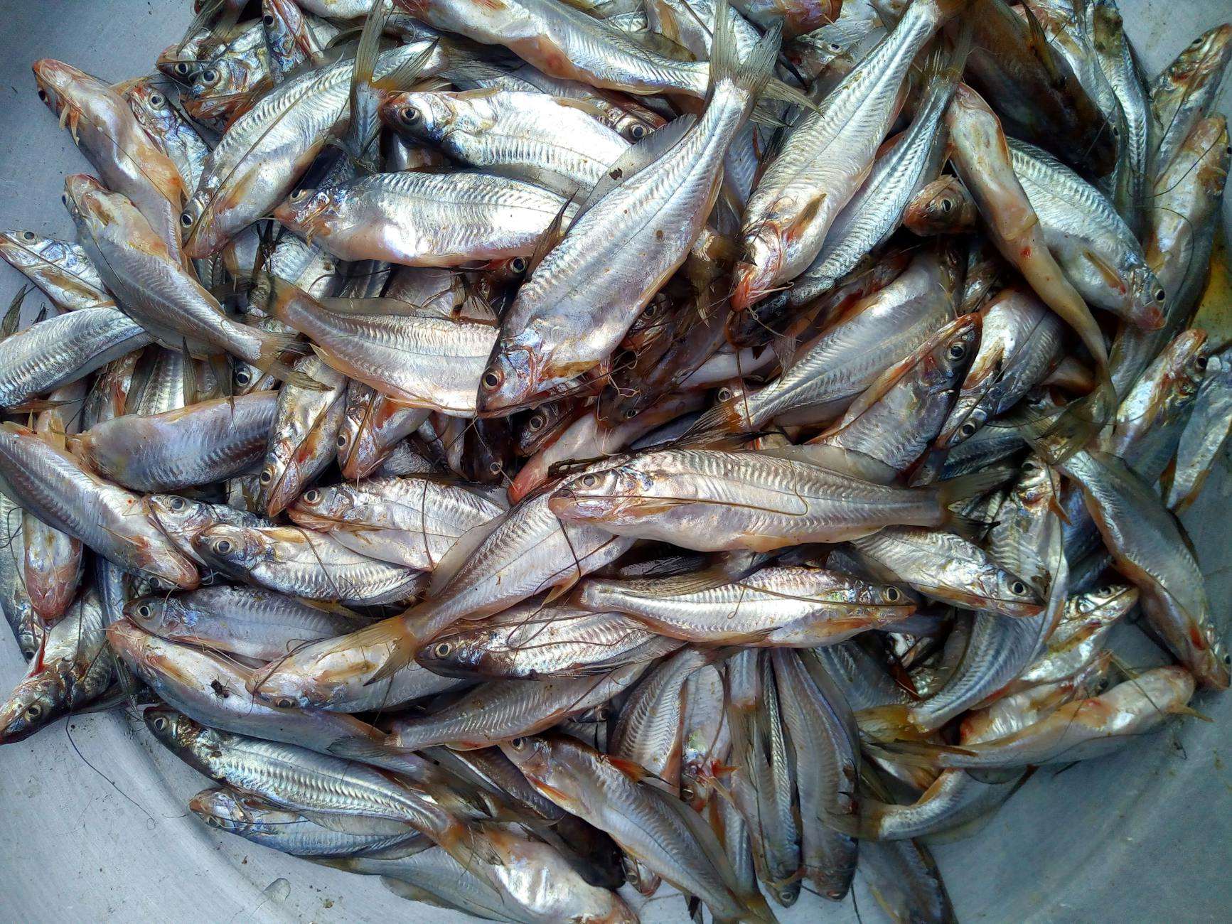 김원훈 엄지윤 결혼식 이혼 소식, 이유와 배경 분석