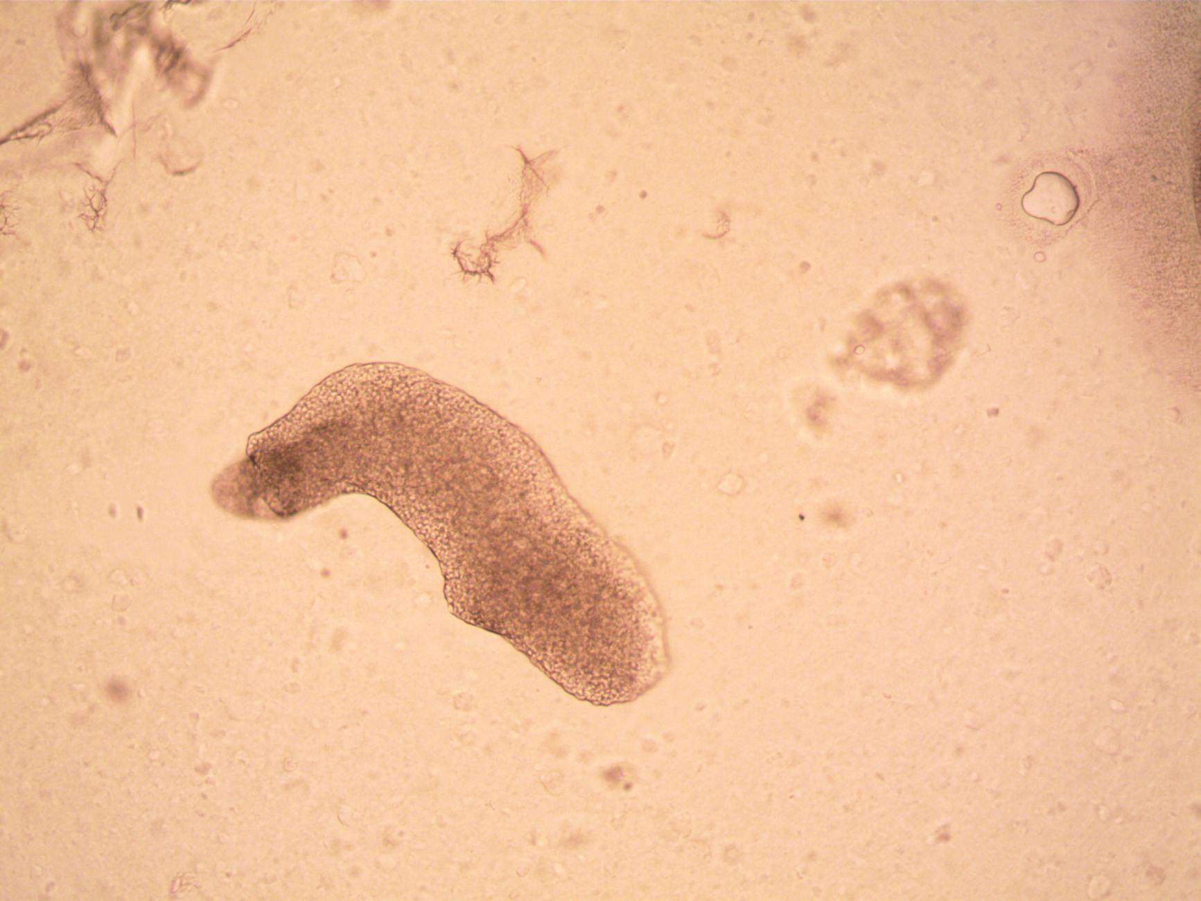 추미애 민주당 경기지사 후보 확정 소식과 본경선 과반 득표 분석 featured image 185