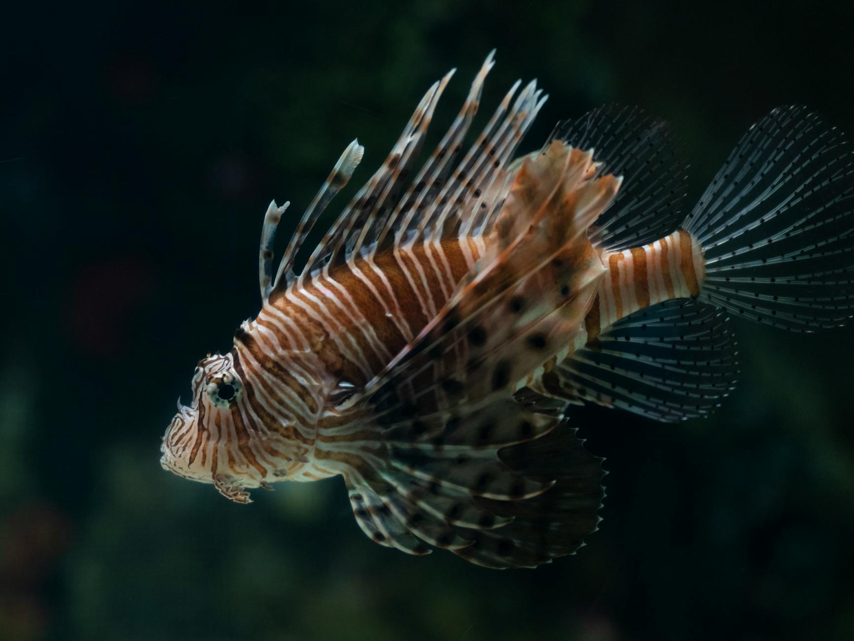 송파노인복지관 인생은 아름다워 프로그램 – 전문적 죽음준비 교육 featured image 217