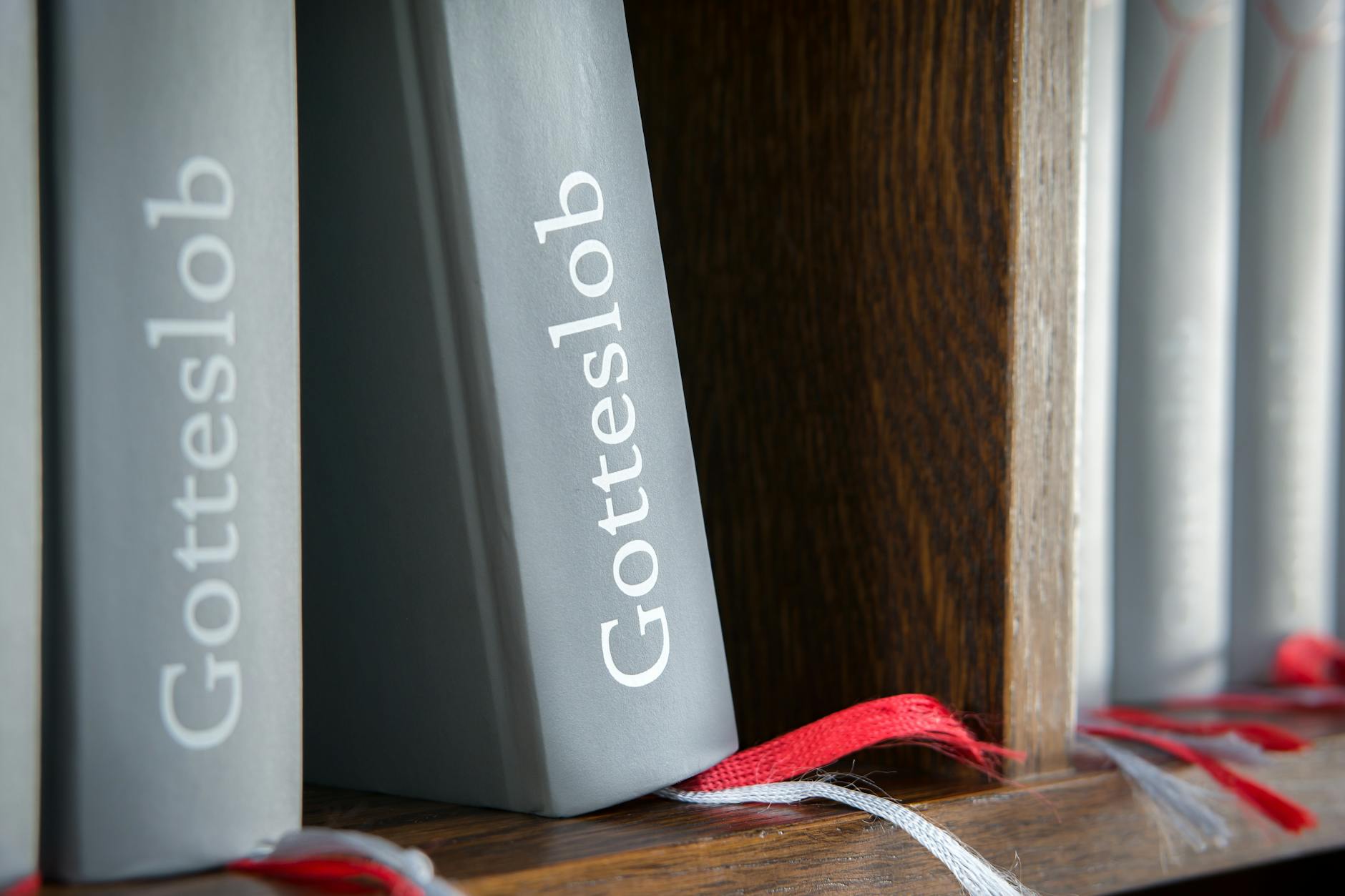 26세 사위 조재복, 장모 살해 후 캐리어 유기 사건 신상 공개 featured image 222