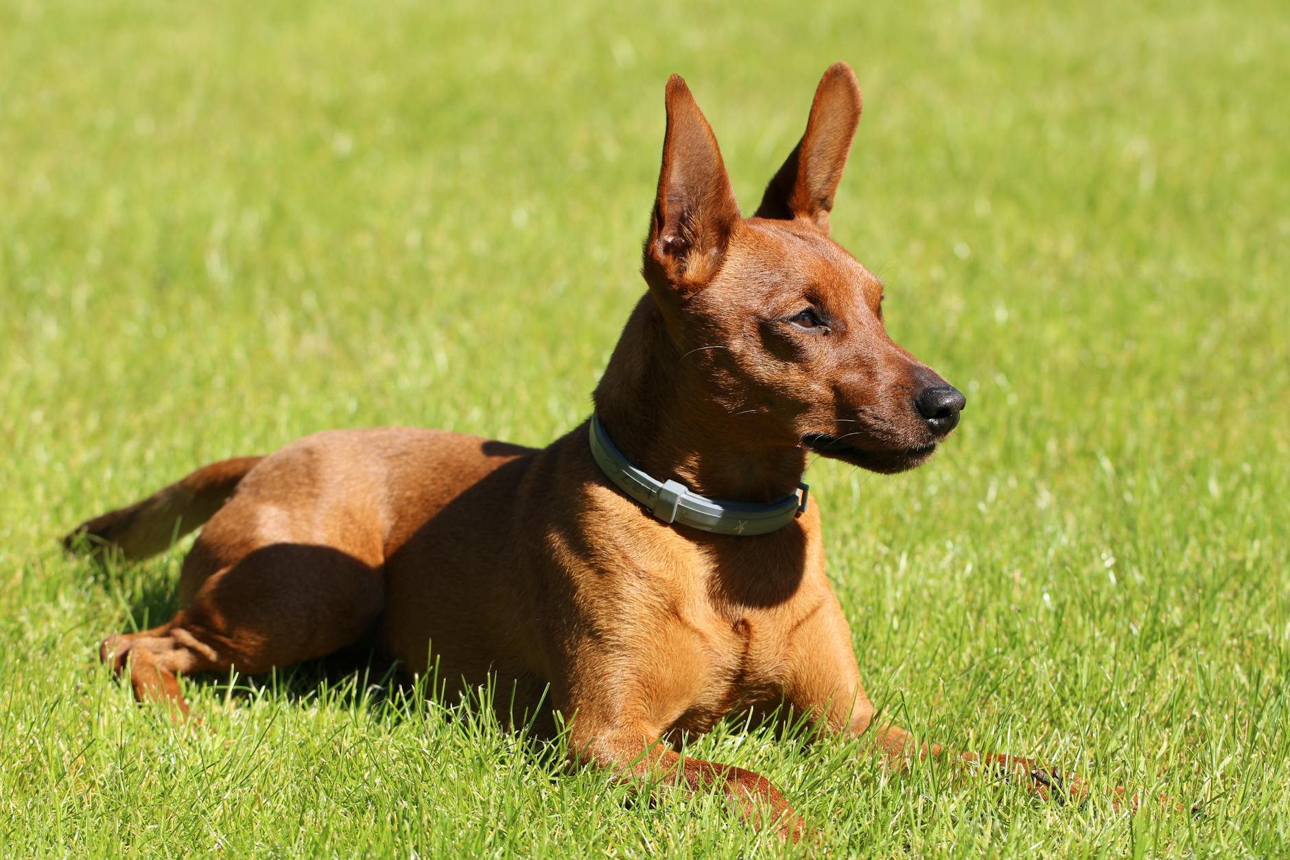 민병헌 신재영 MBC스포츠플러스 합류 KBO 개막 새로운 활력