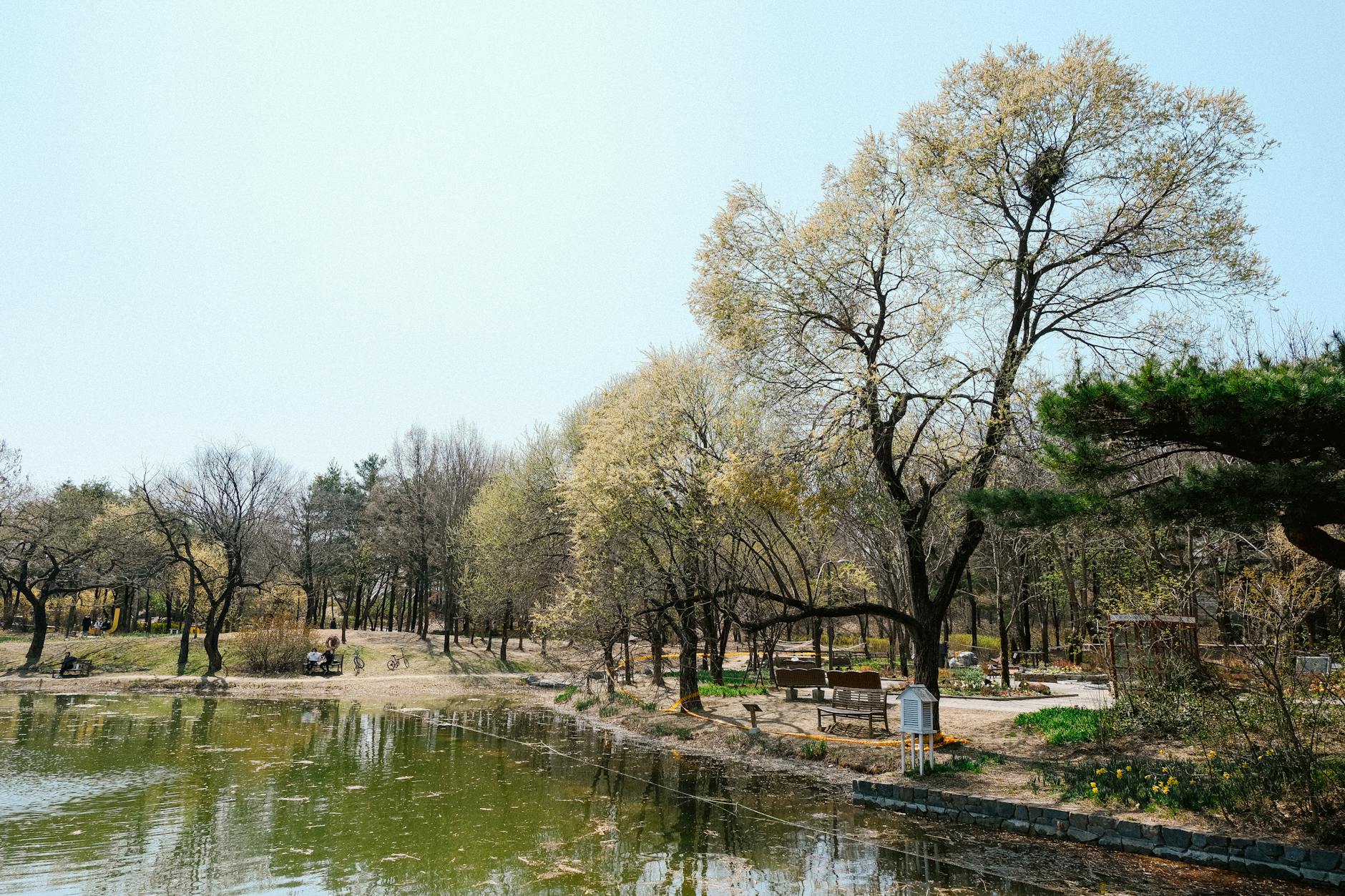 삼성 박승규, 팀의 힘 강조하며 사이클링히트 대신 3루의 중요성 언급 featured image 327