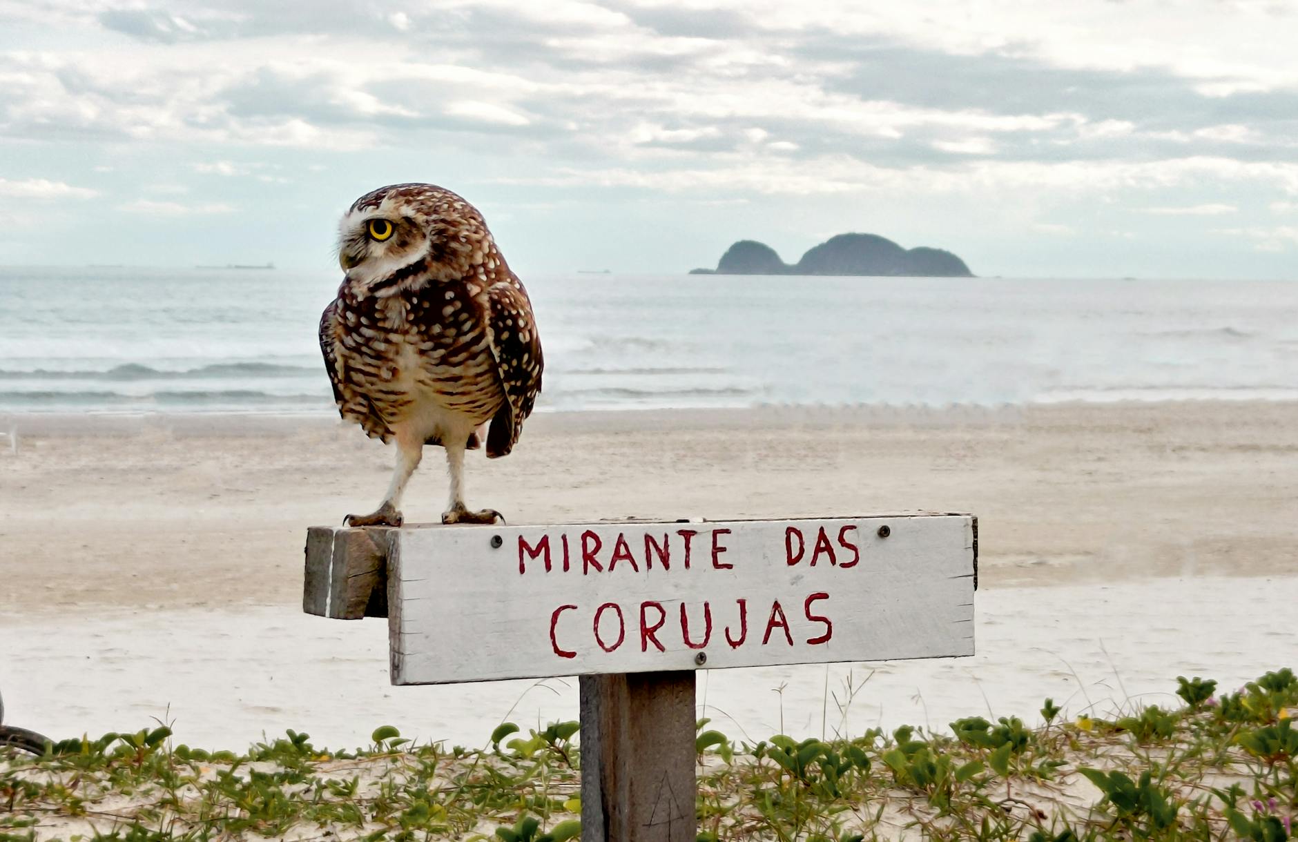 고아라와 정우의 재회, 전 남친의 아내와의 유쾌한 만남