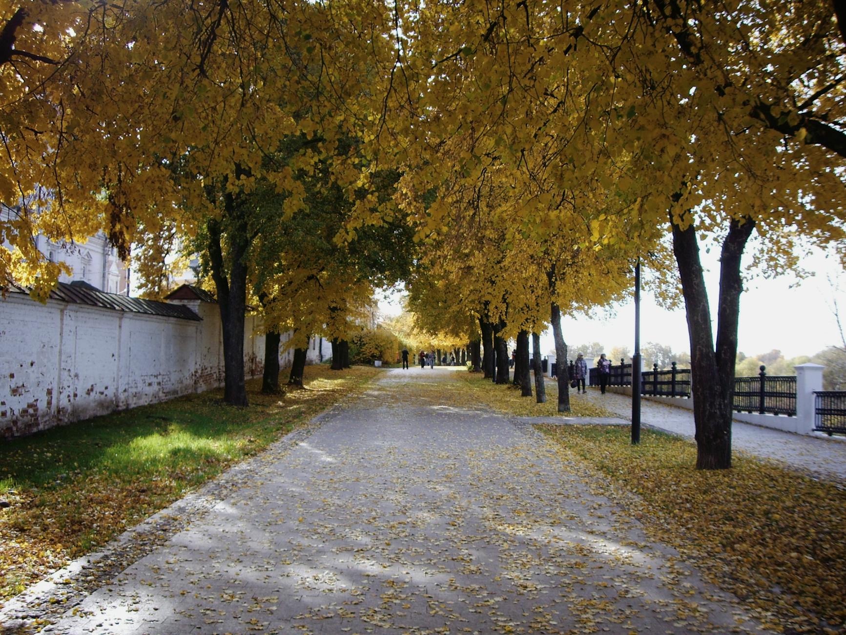 박효신 서사, 반짝이는 기억의 나눔과 목소리의 힘