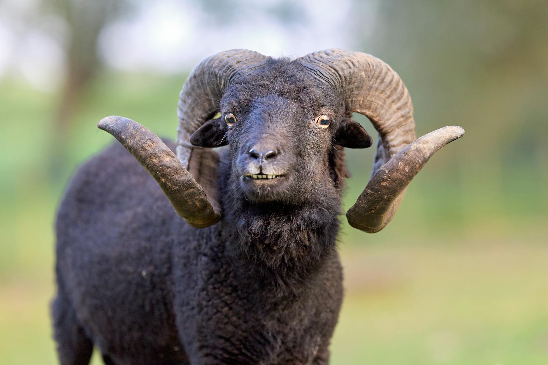 양치승, 15억 피해 입은 아파트 관리 직원의 심경과 근황 공개 featured image 624