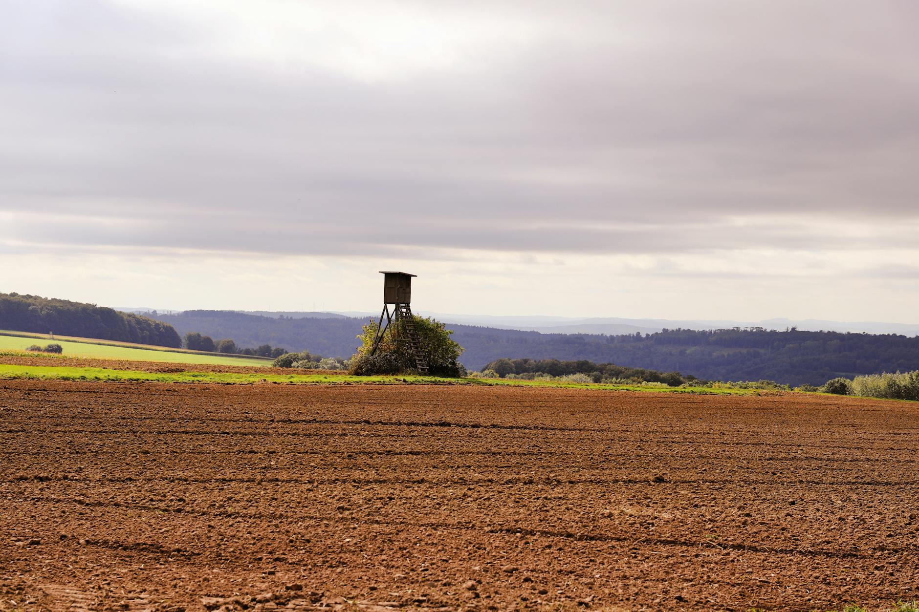 영화 '왕사남' 신드롬 후속작 '살목지', 130만 관객 돌파의 비결 featured image 628