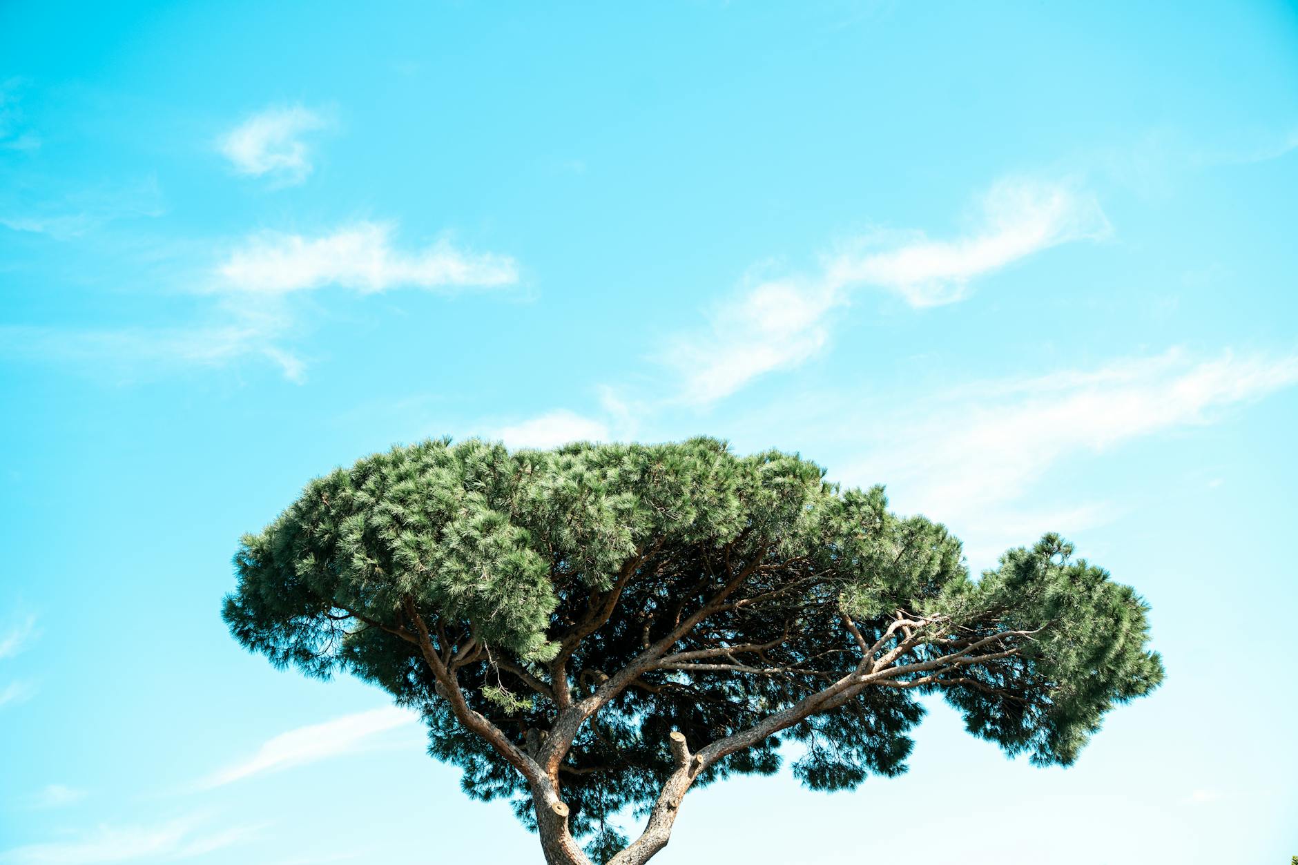 장동혁과 김진태의 지원사격, 정치적 갈등과 비판의 목소리 featured image 781