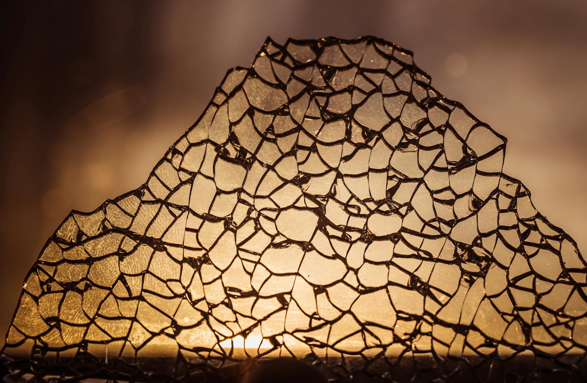 캡콤 프래그마타, 출시 이틀 만에 100만 장 판매 기록한 이유와 성공 요인 featured image 815