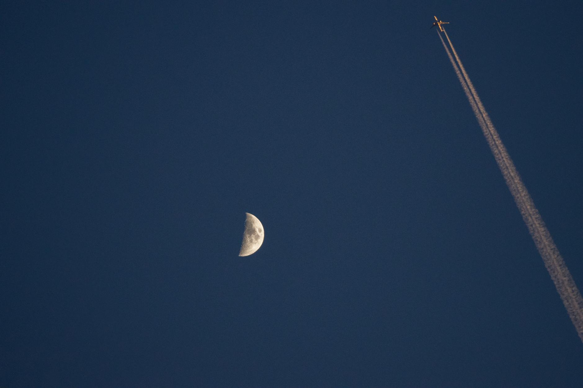 한국시리즈 투수 총력전과 노시환 복귀전 홈런, 김경문 감독의 긍정적인 평가 featured image 858