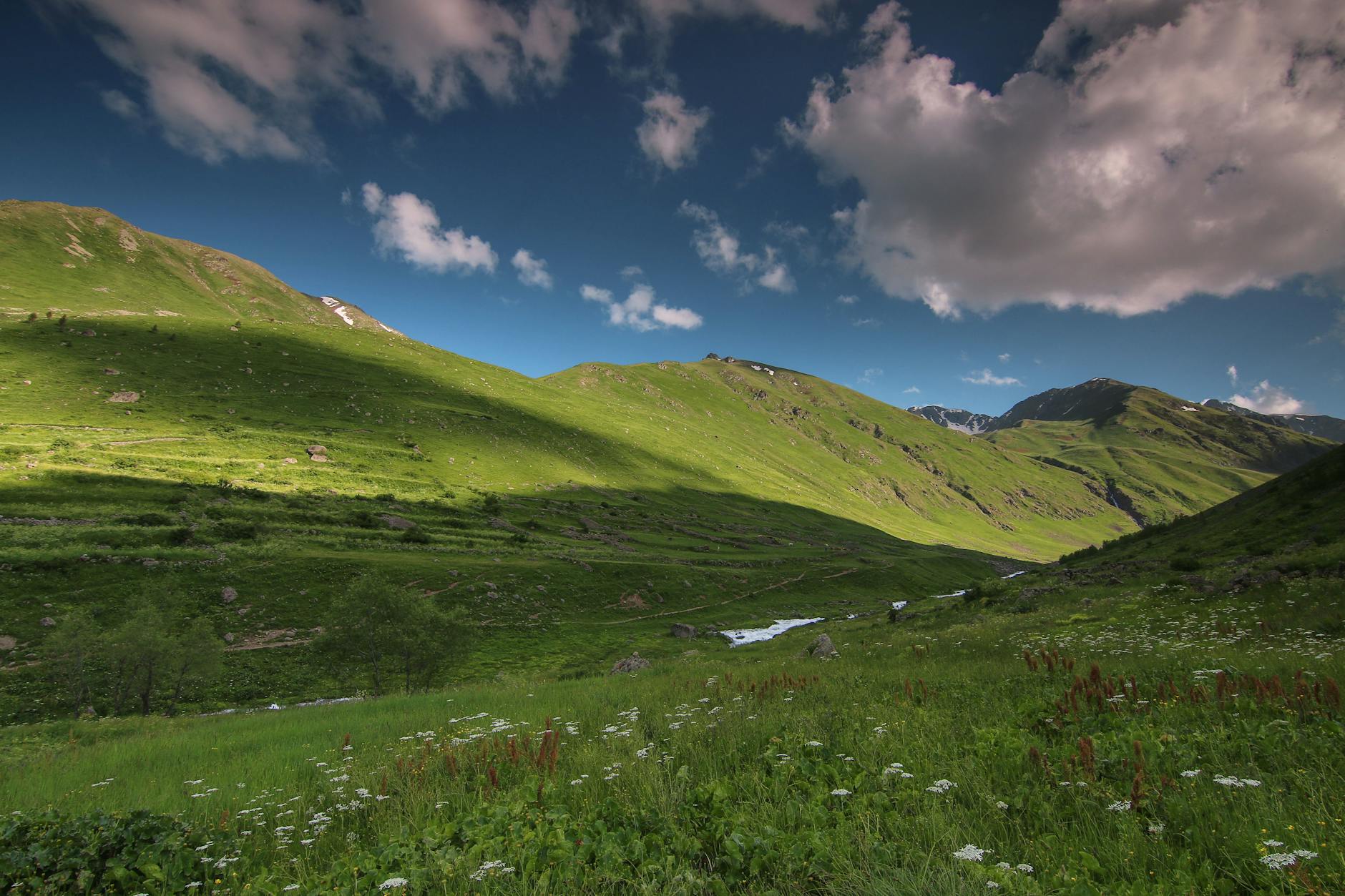 20세기 역사 위대한 인물들의 영향과 유산 featured image 909