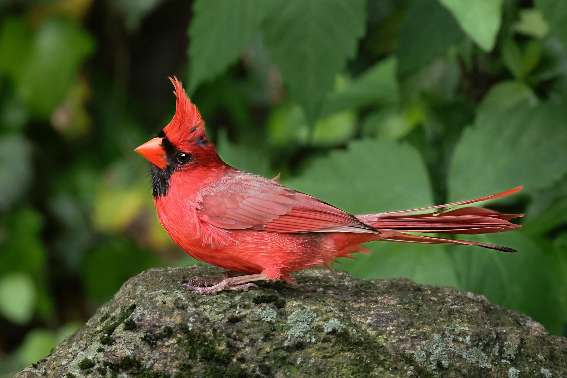 추경호 이진숙 위원장 결단 대구 통합 발전 전략