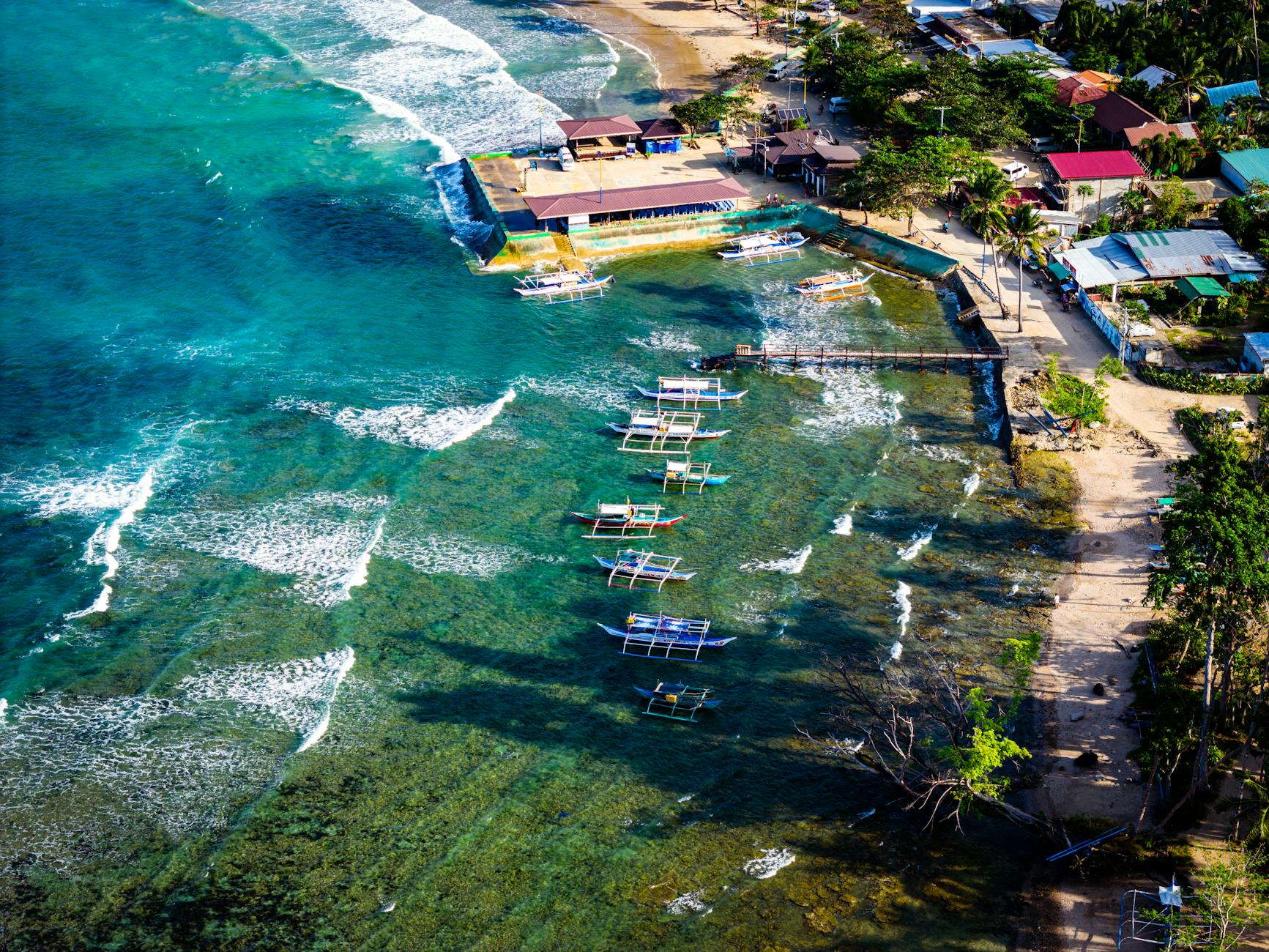 몽골리안 방카르: 몽골 초원의 수호견과 영혼을 보는 네눈박이 featured image 926