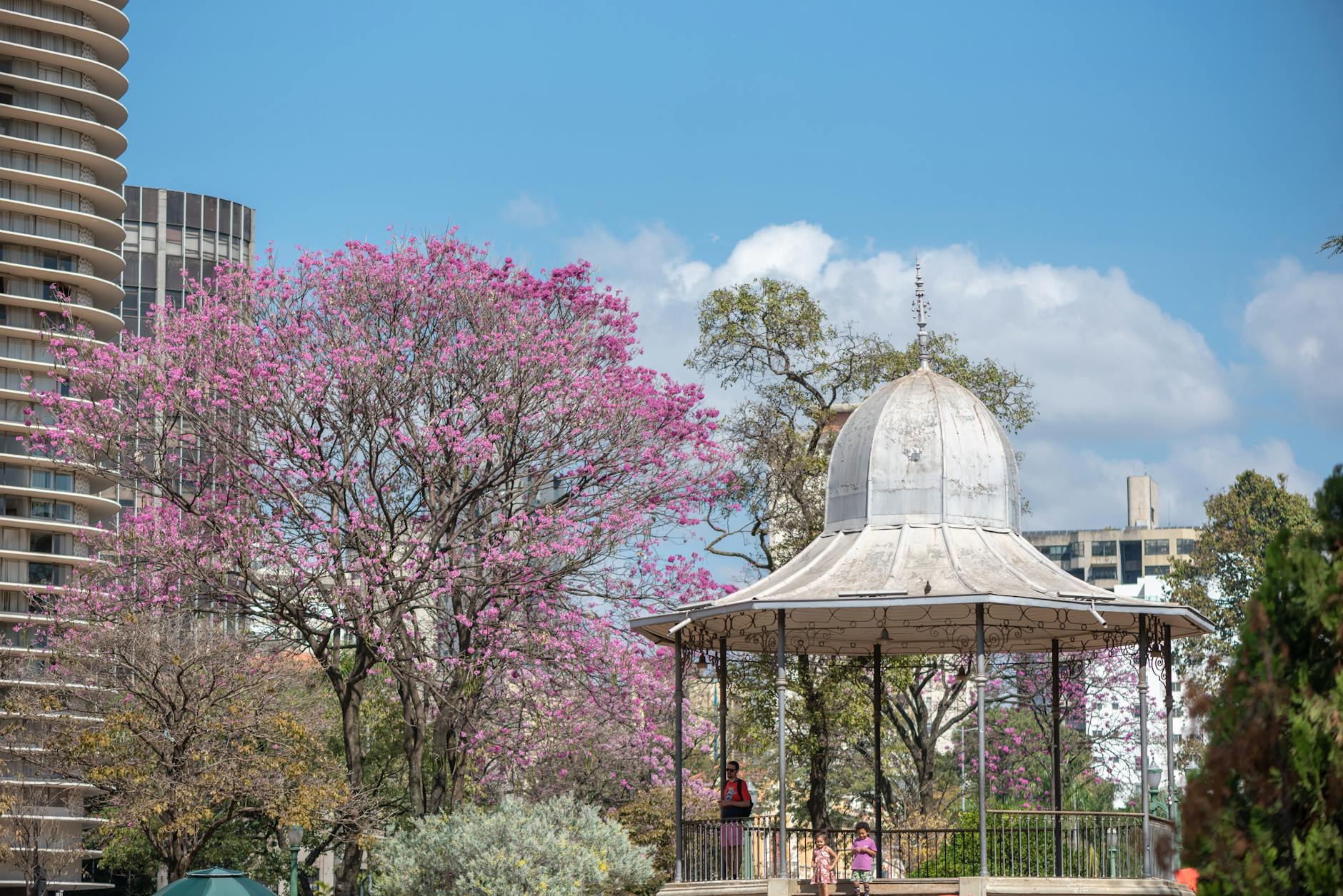 입스(yips) 이해하기: 마음의 병과 극복 방법 featured image 930