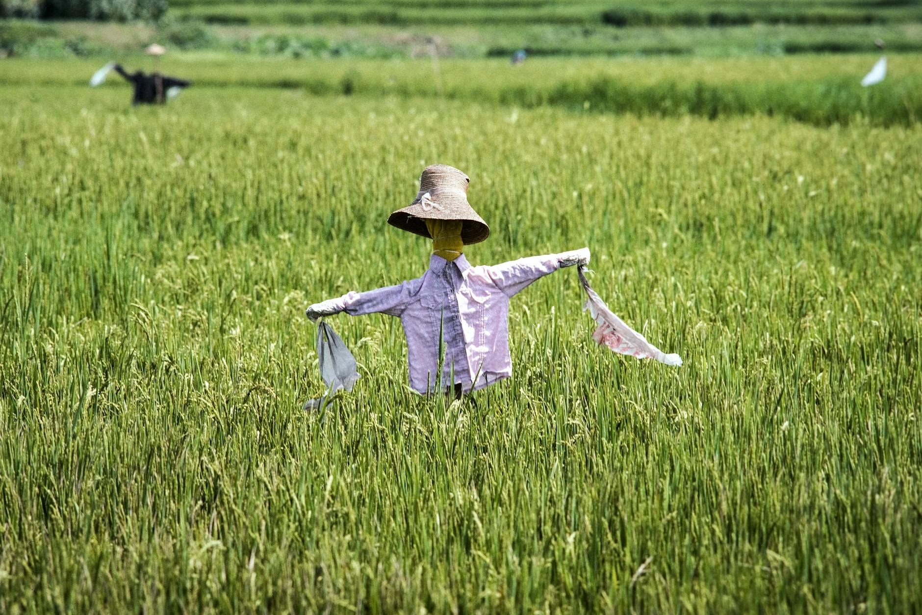 드라마 허수아비와 살인의 추억: 이춘재를 놓친 이유에 대한 심층 분석 featured image 971