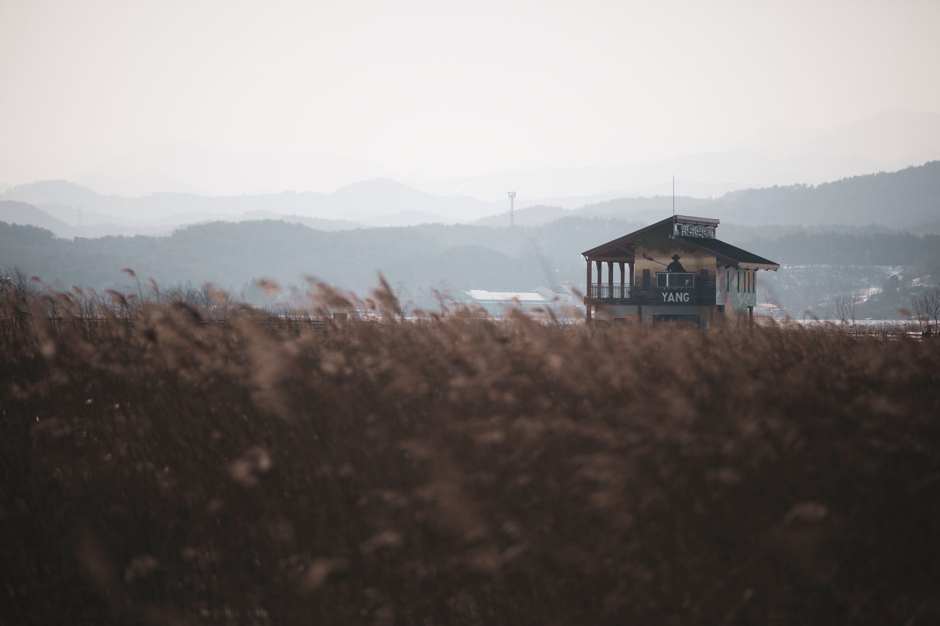 명조 게임톡: 띵붕이들이 선택한 3.5 버전 캐릭터 분석 featured image 361