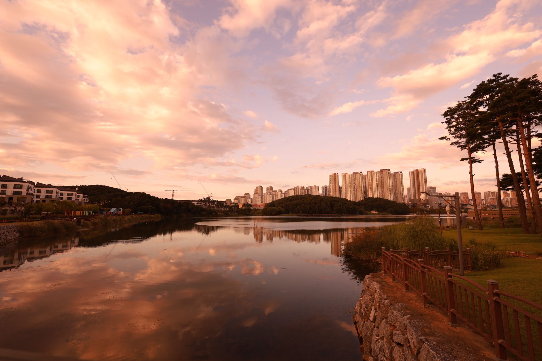 박시원 강력한 투구: MD포토로 본 야구의 매력 featured image 177