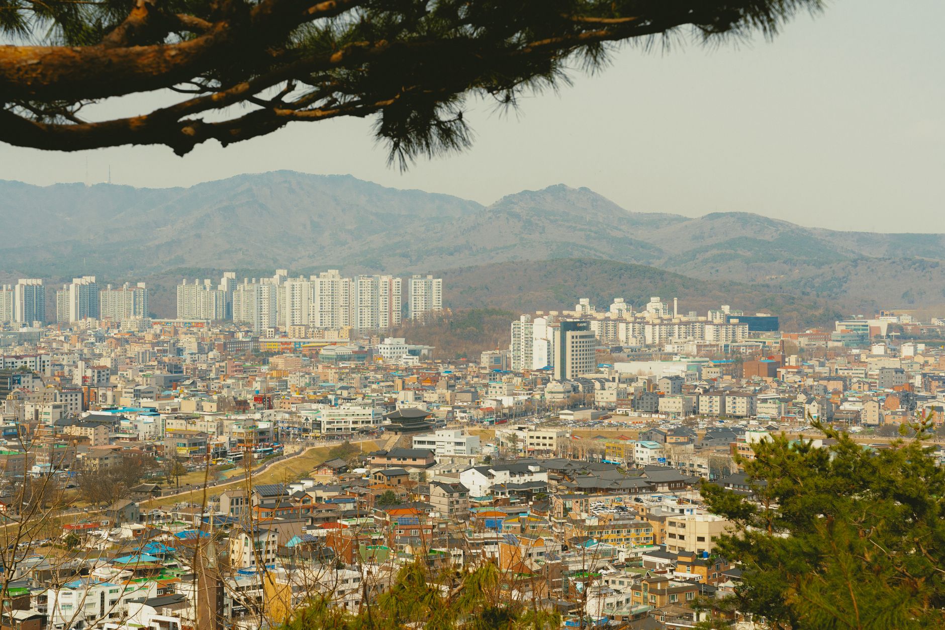 한국 프로야구 4할 타자 백인천 전 감독 별세, 야구계의 큰 손실 featured image 502
