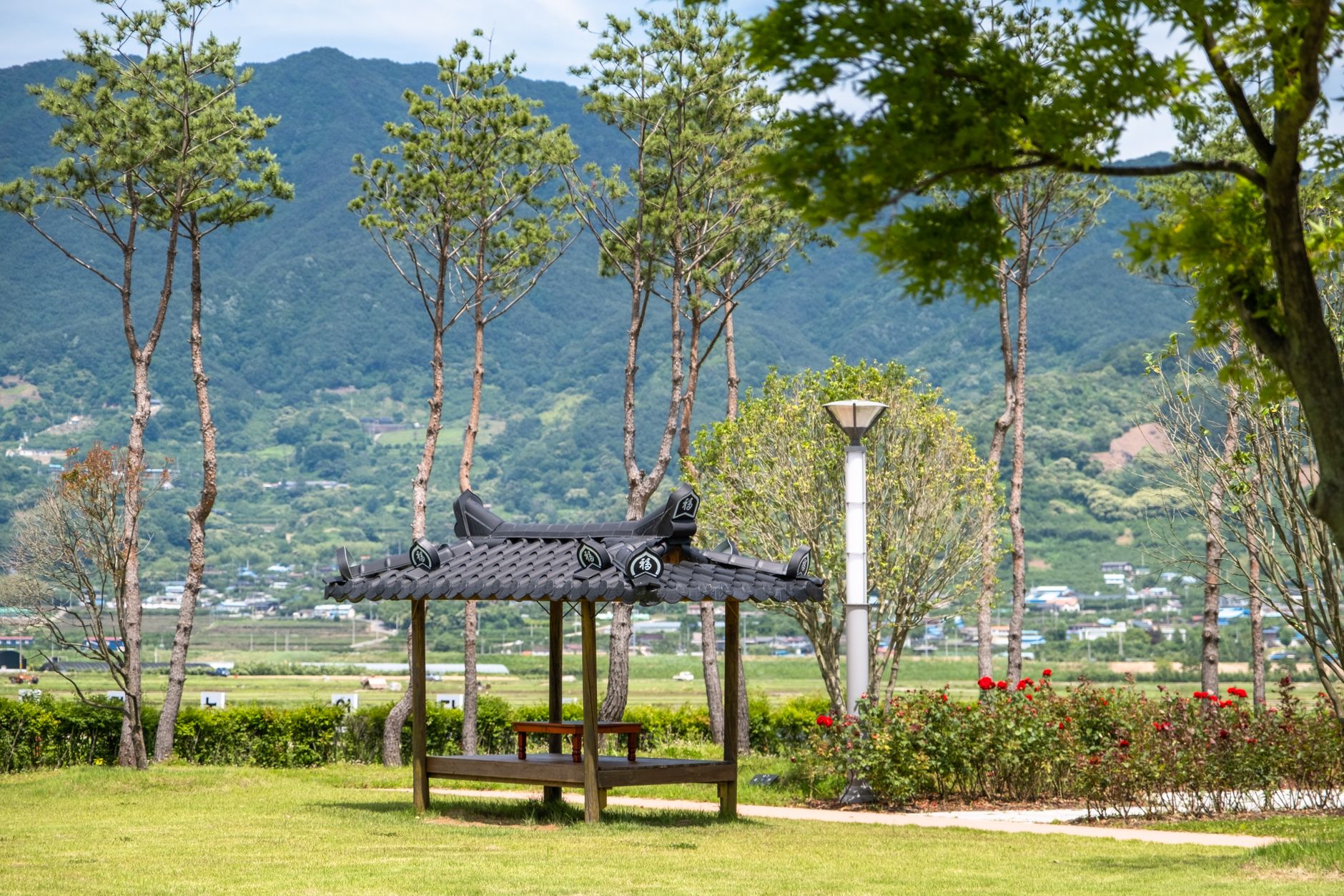 괴식 디저트: 두쫀쿠와 연가시의 기생충 조합 featured image 92