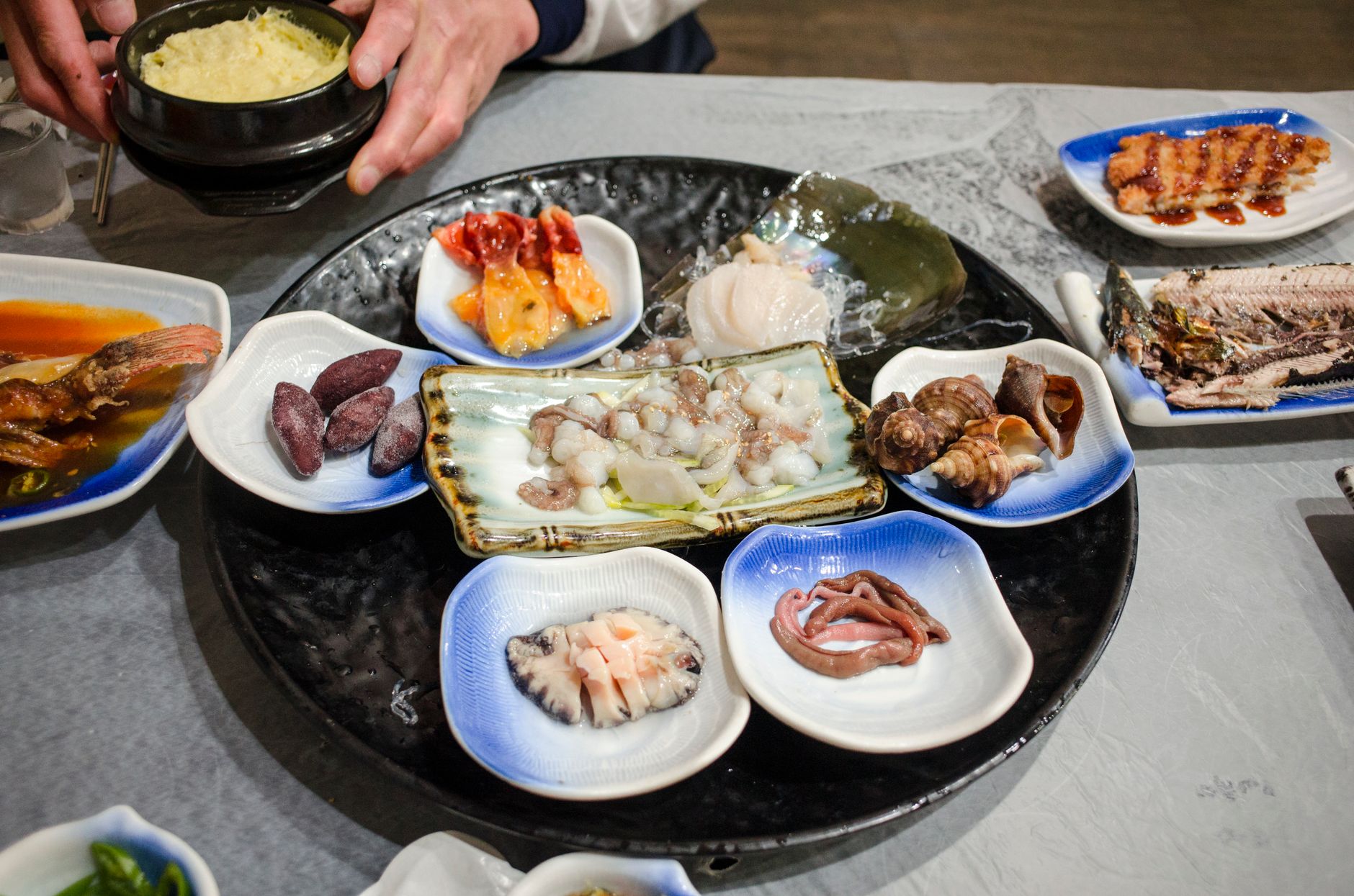 충격적인 고양이 학살 영상과 그에 대한 진실
