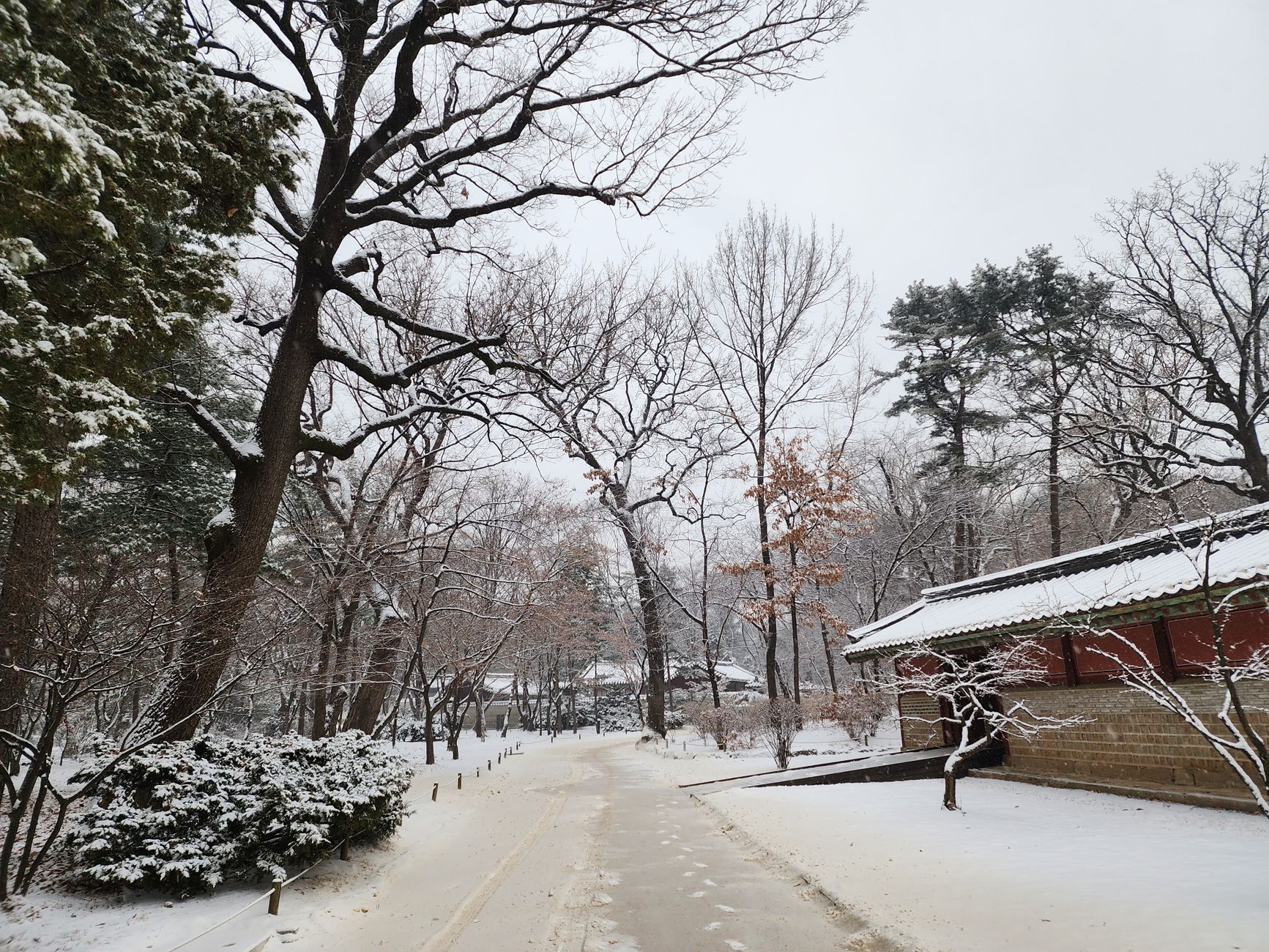 고종욱 끝내기 찬스 아쉬운 삼진 분석 및 경기 리뷰 featured image 508